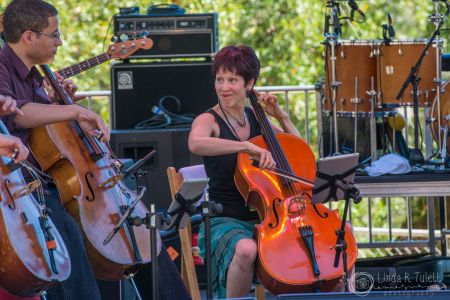 Portland Cello Project