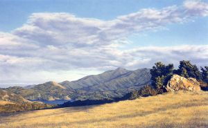 Mt. Tam from Azalea Hill