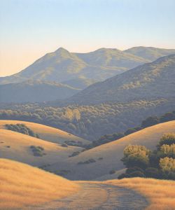 Mt. Tam from Sleepy Hollow • 2013