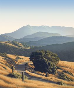 Mt. Tam from Bald Hill