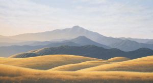 Mt. Tam from Ring Mt.