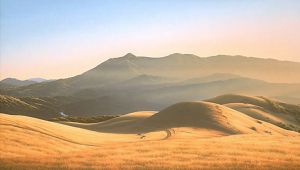 Mt. Tamalpais from Bald Hill