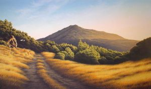 Mt. Tamalpais from King Mountain