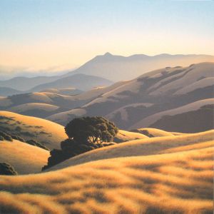 Mt. Tamalpais from Big Rock Ridge