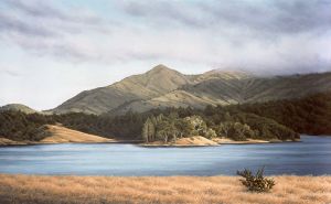 Mt. Tam from Bon Tempe (with Fog)