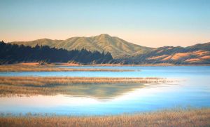 Mt. Tamalpais from Mill Valley